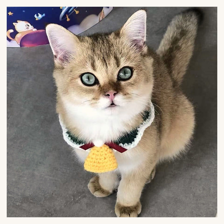 Chat portant le collier de Noël en laine crochetée
