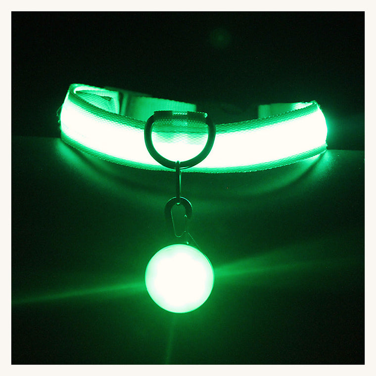 Collier lumineux à LED vert allumé