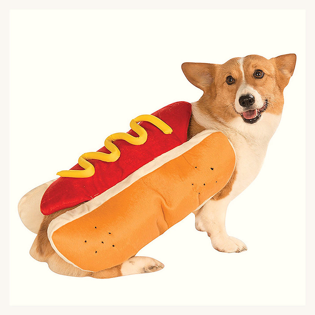 Corgi portant le costume de hot-dog