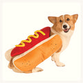 Corgi portant le costume de hot-dog