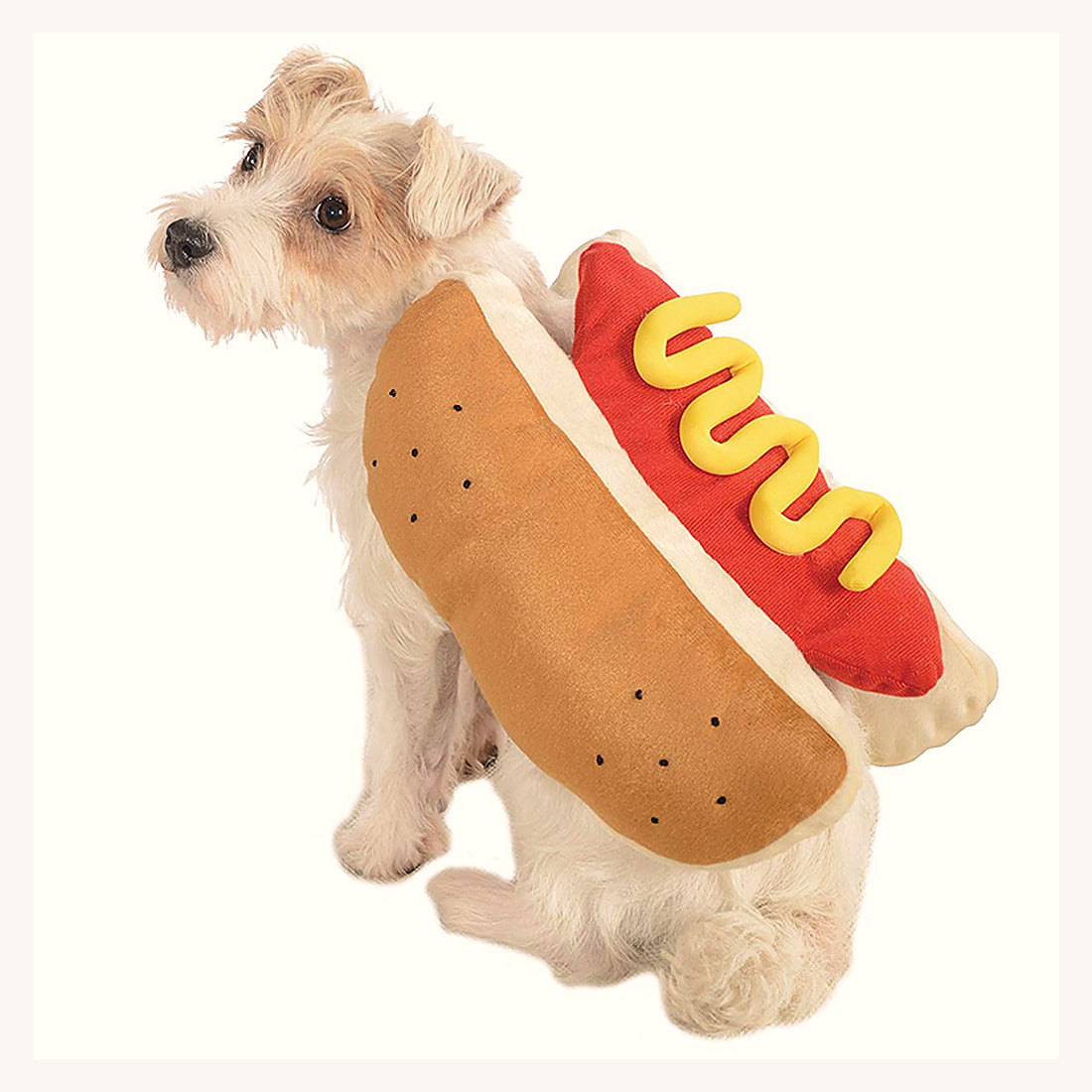 Chien portant le costume de hot-dog vu de côté