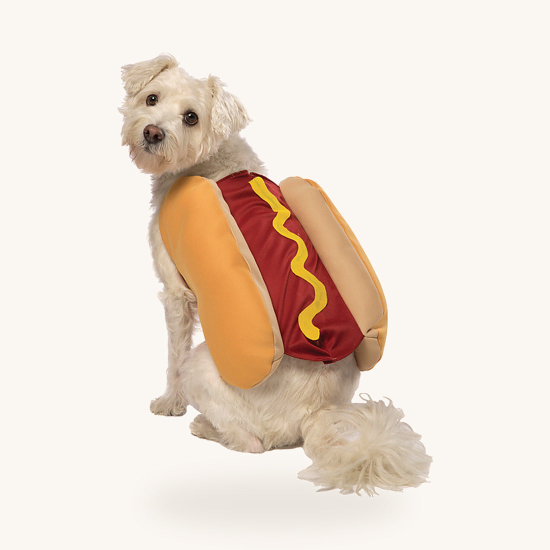 Petit chien blanc portant le costume de hot-dog