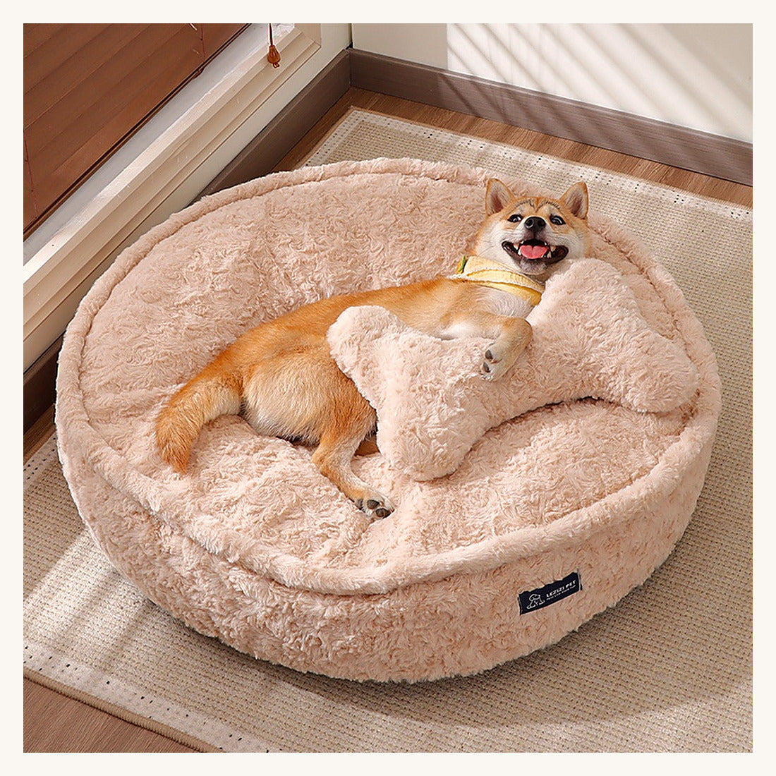 Petit chien installé dans le lit rond en peluche