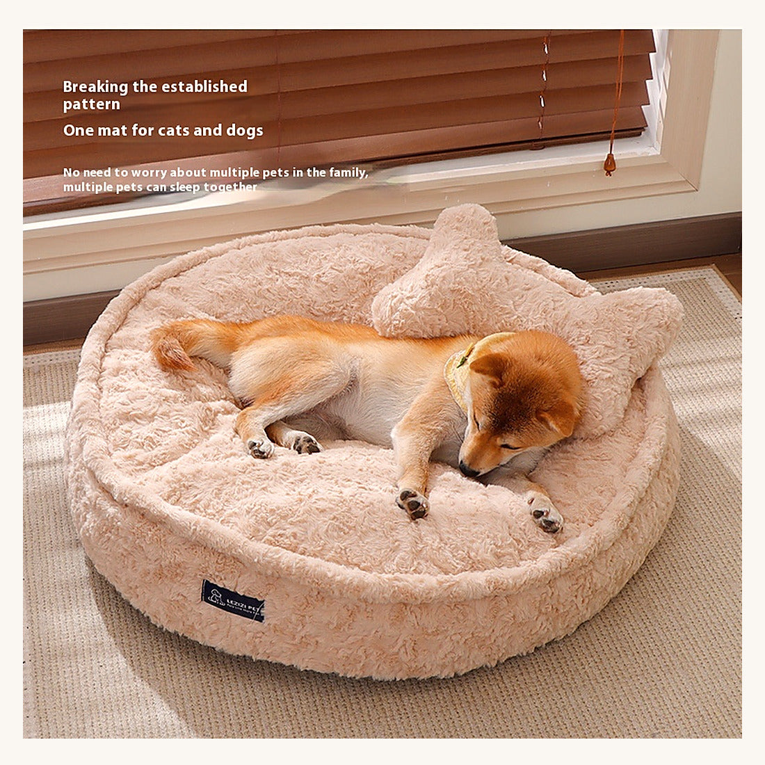 Chien endormi dans le lit près de la fenêtre