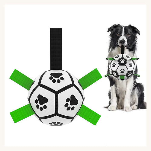 Le ballon tenu par un chien, sangles vertes bien visibles