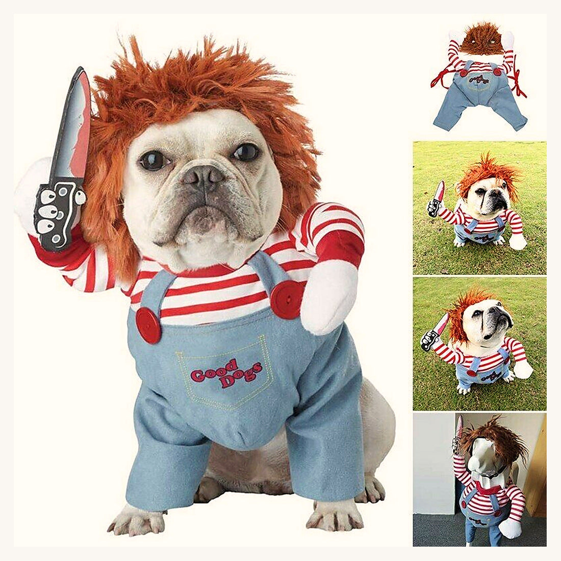 Costume d'Halloween avec perruque porté par un chien