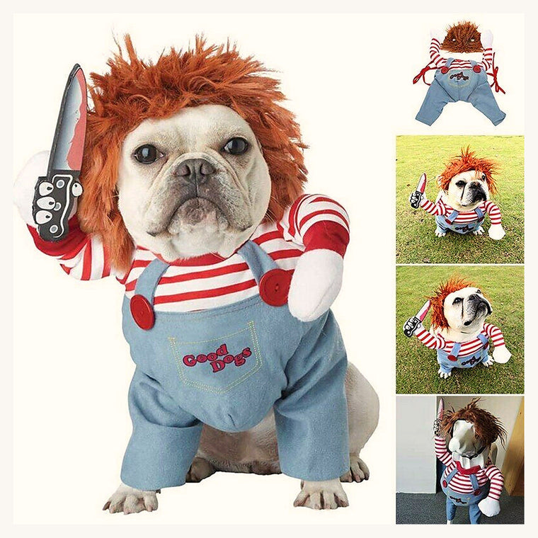 Costume d'Halloween avec perruque porté par un chien