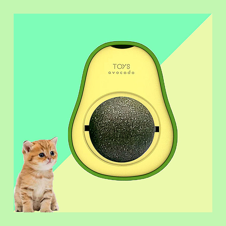 Jouet avocat à l'herbe à chat avec sa boule rotative