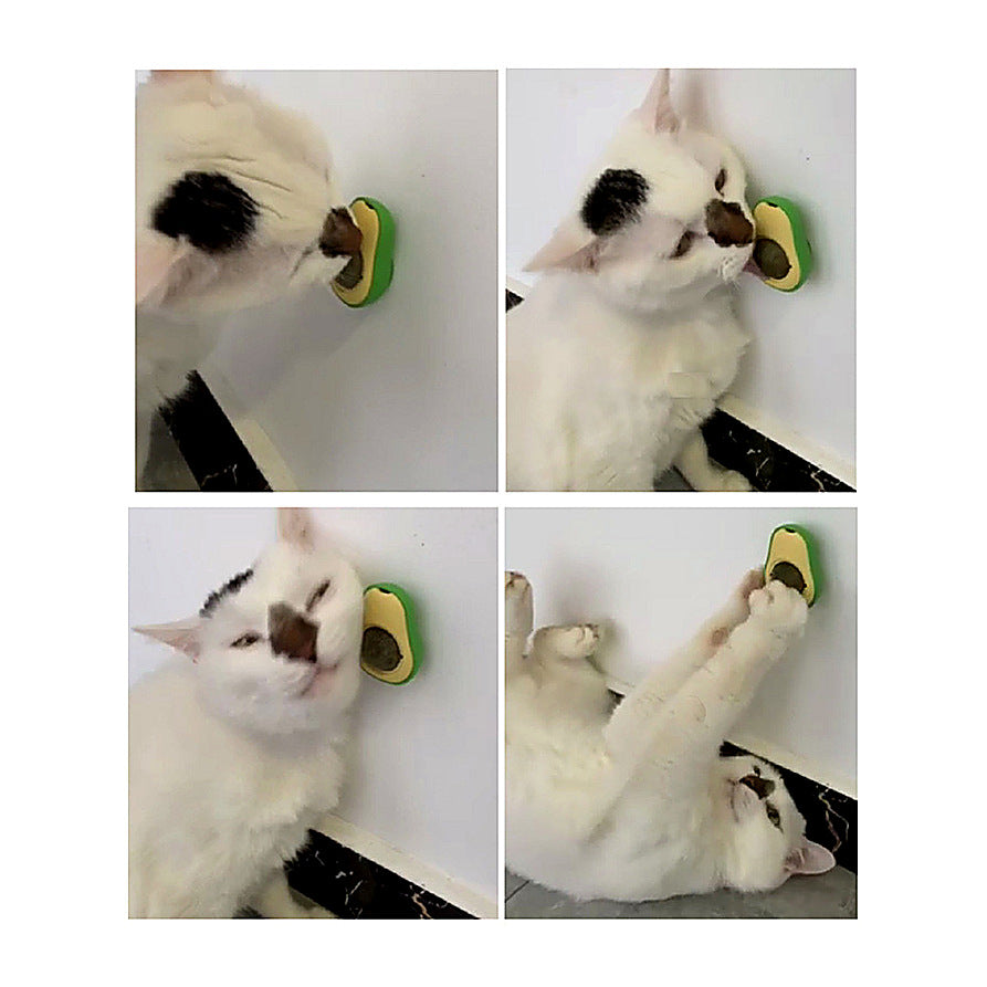 Un chat léchant la boule d'herbe à chat