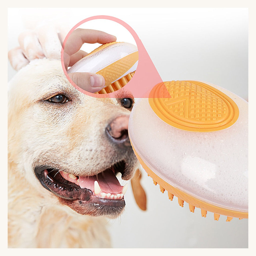 Un chien brossé avec la brosse