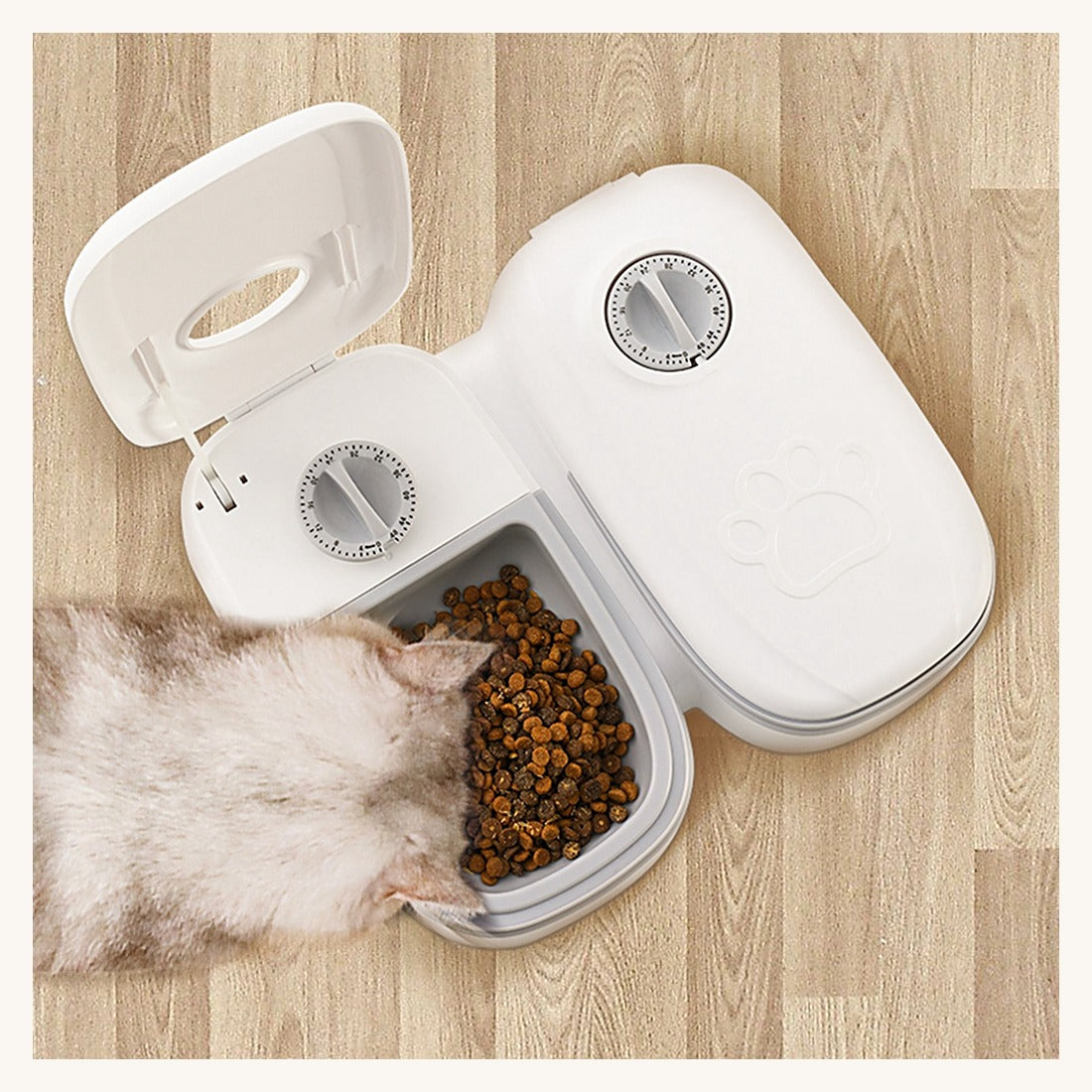 Un chat qui mange dans le distributeur